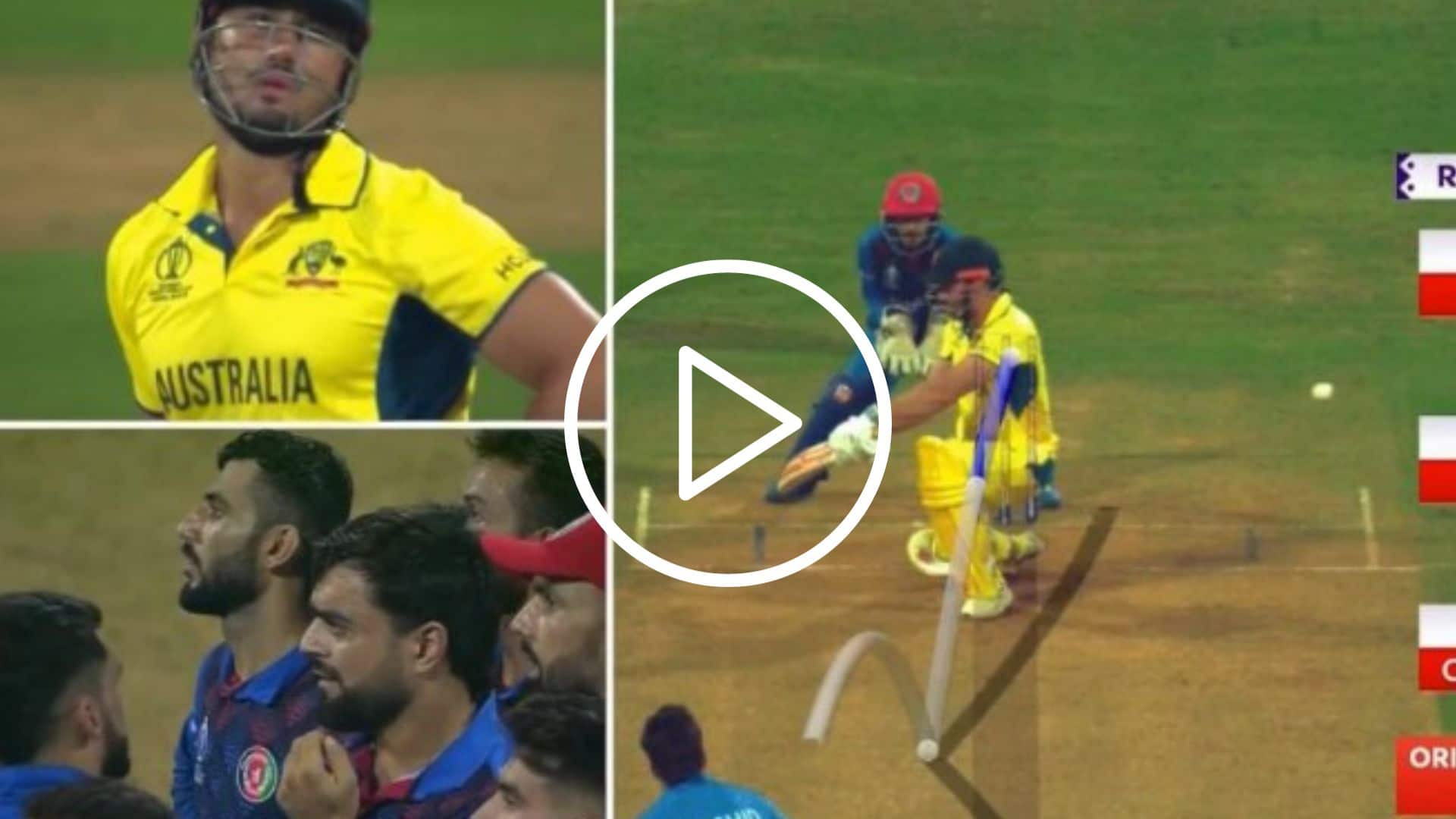 [Watch] Rashid Khan Outsmarts Marcus Stoinis With A Deceptive Googly 